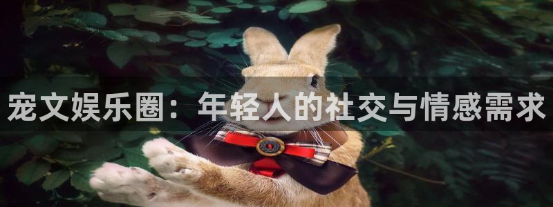 极悦娱乐注册：宠文娱乐圈：年轻人的社交与情感需求