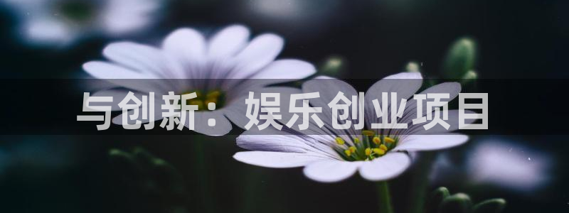 极悦娱乐：与创新：娱乐创业项目