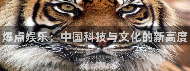 舒克极悦：爆点娱乐：中国科技与文化的新高度