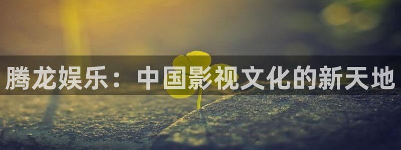 极悦官方注册：腾龙娱乐：中国影视文化的新天地