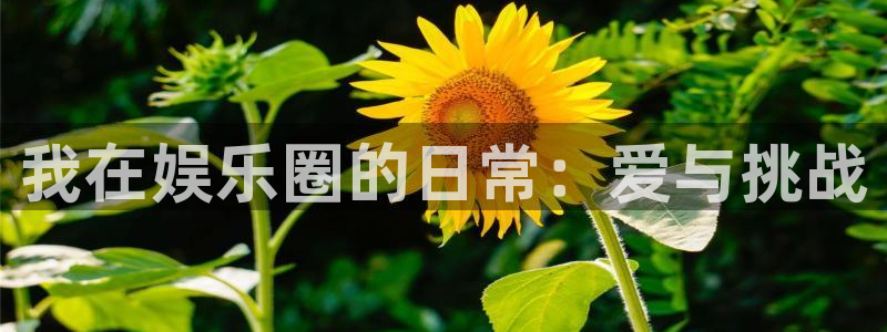 upload/20250701114914.jpg
