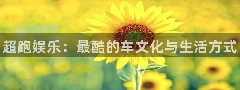 极悦生活：超跑娱乐：最酷的车文化与生活方式